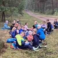 Frühstückspause im Wald