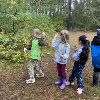 Station: Schweifball