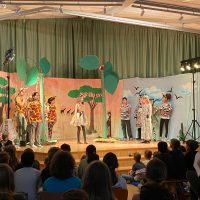 Die Giraffen und Zebras treffen aufeinander.