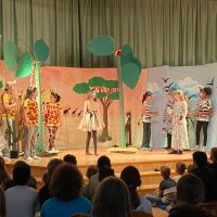 Die Giraffen und Zebras treffen aufeinander.