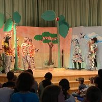 Die Giraffen und Zebras treffen aufeinander.