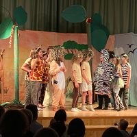 Die Giraffen und Zebras treffen aufeinander.