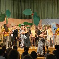 Die Giraffen und Zebras werden zu Freunden.